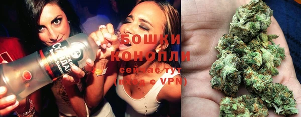 сатива Алзамай